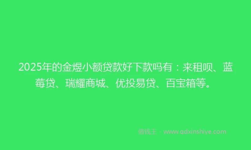 2025年的金煜小额贷款好下款吗有：来租呗、蓝莓贷、瑞耀商城、优投易贷、百宝箱等。