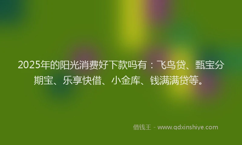 2025年的阳光消费好下款吗有：飞鸟贷、甄宝分期宝、乐享快借、小金库、钱满满贷等。