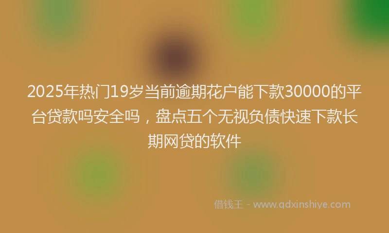 2025年热门19岁当前逾期花户能下款30000的平台贷款吗安全吗，盘点五个无视负债快速下款长期网贷的软件