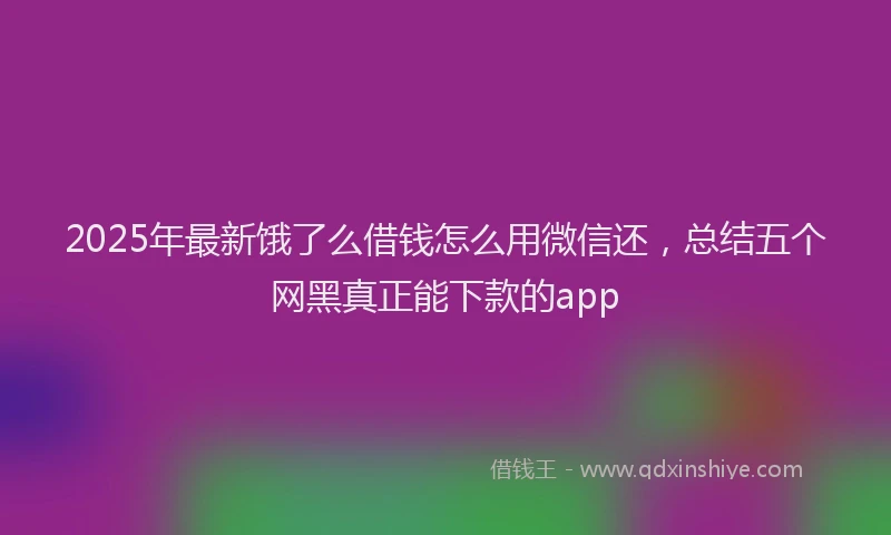 2025年最新饿了么借钱怎么用微信还，总结五个网黑真正能下款的app