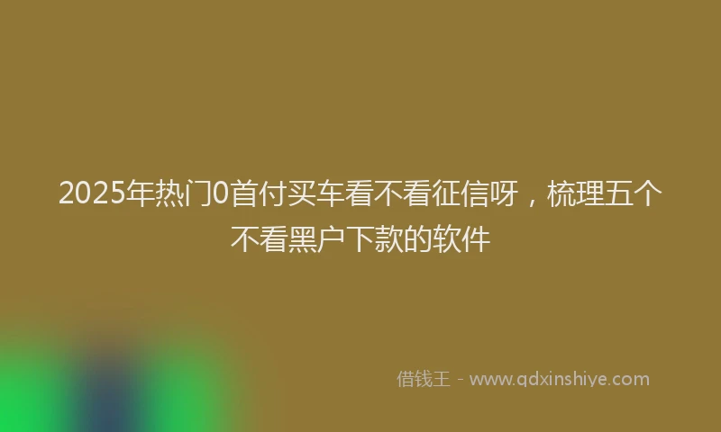 2025年热门0首付买车看不看征信呀，梳理五个不看黑户下款的软件