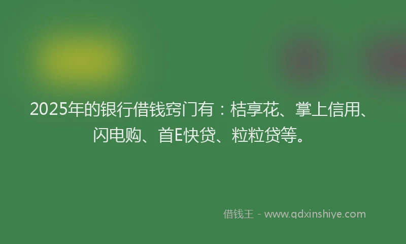 2025年的银行借钱窍门有：桔享花、掌上信用、闪电购、首E快贷、粒粒贷等。