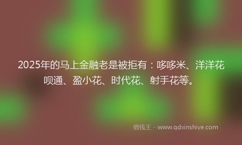 2025年的马上金融老是被拒有：哆哆米、洋洋花呗通、盈小花、时代花、射手花等。