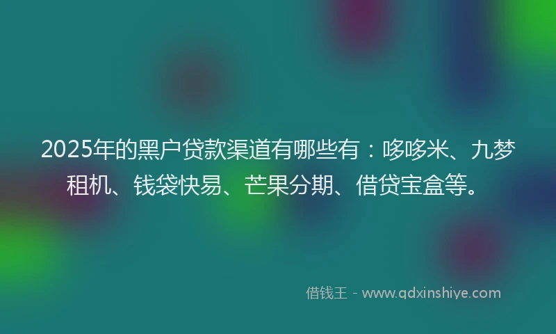 2025年的黑户贷款渠道有哪些有：哆哆米、九梦租机、钱袋快易、芒果分期、借贷宝盒等。