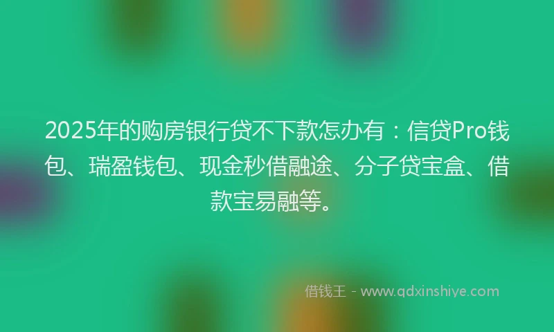 2025年的购房银行贷不下款怎办有：信贷Pro钱包、瑞盈钱包、现金秒借融途、分子贷宝盒、借款宝易融等。