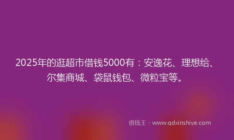 2025年的逛超市借钱5000有：安逸花、理想给、尔集商城、袋鼠钱包、微粒宝等。