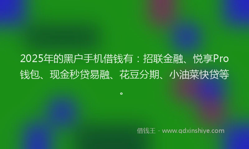 2025年的黑户手机借钱有：招联金融、悦享Pro钱包、现金秒贷易融、花豆分期、小油菜快贷等。