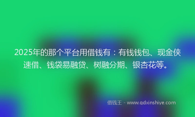 2025年的那个平台用借钱有：有钱钱包、现金侠速借、钱袋易融贷、树融分期、银杏花等。