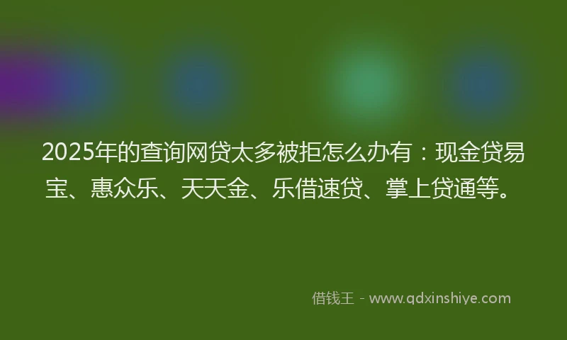 2025年的查询网贷太多被拒怎么办有：现金贷易宝、惠众乐、天天金、乐借速贷、掌上贷通等。