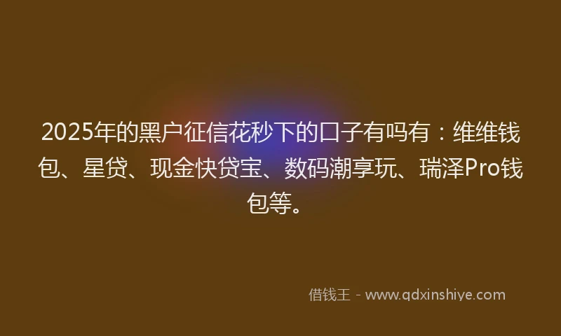2025年的黑户征信花秒下的口子有吗有：维维钱包、星贷、现金快贷宝、数码潮享玩、瑞泽Pro钱包等。