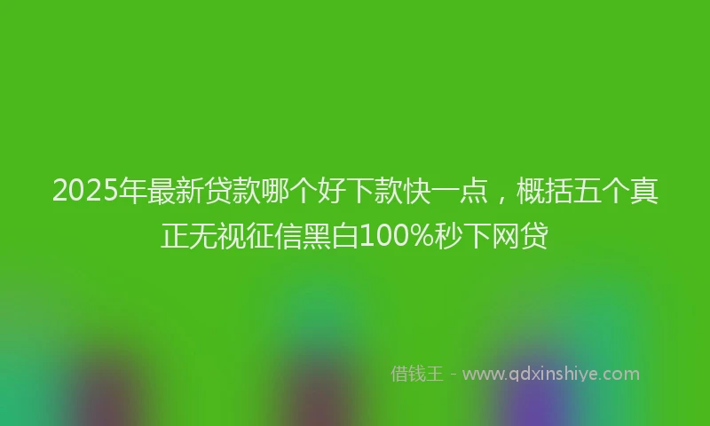 2025年最新贷款哪个好下款快一点，概括五个真正无视征信黑白100%秒下网贷
