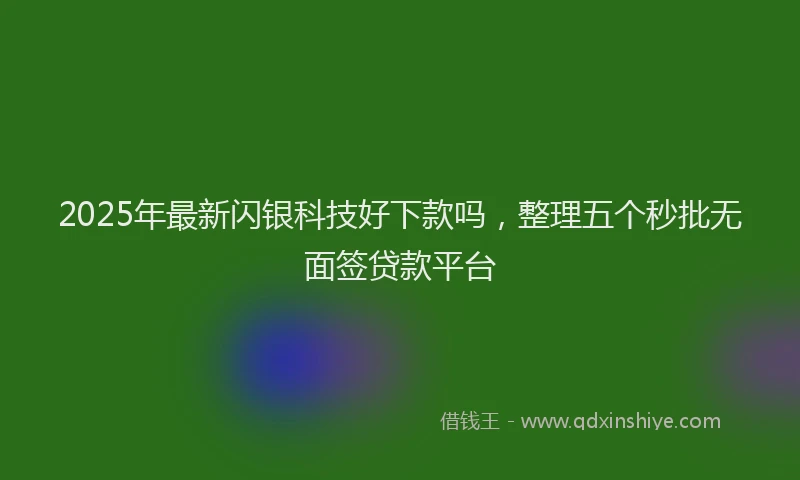 2025年最新闪银科技好下款吗，整理五个秒批无面签贷款平台