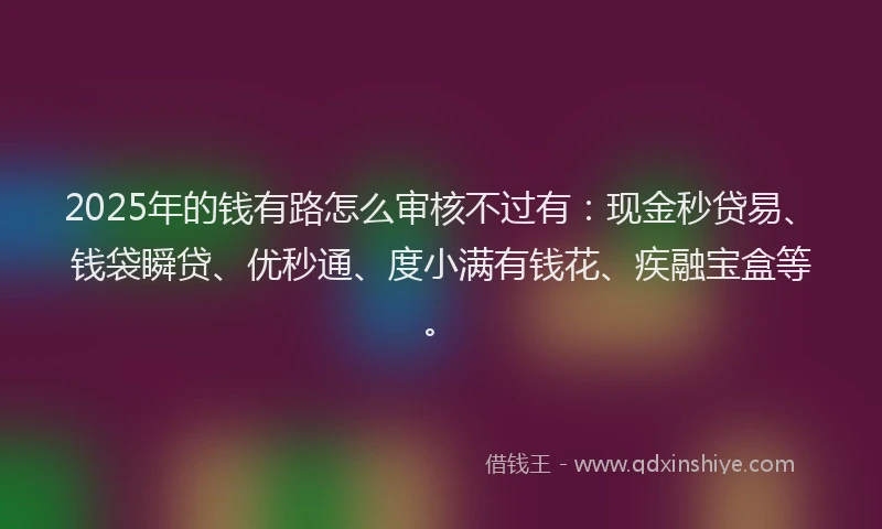 2025年的钱有路怎么审核不过有：现金秒贷易、钱袋瞬贷、优秒通、度小满有钱花、疾融宝盒等。