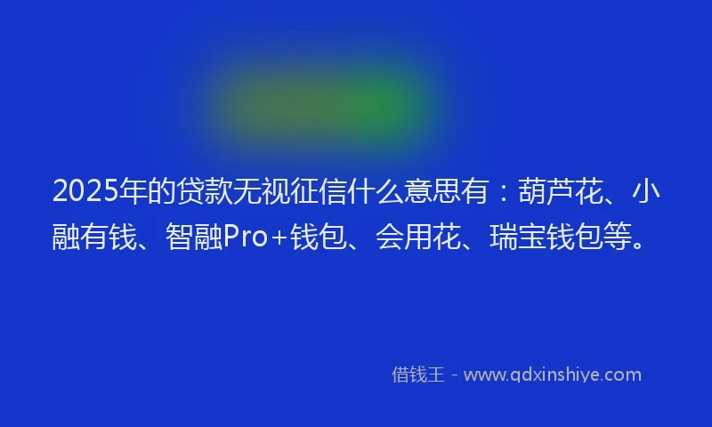 2025年的贷款无视征信什么意思有：葫芦花、小融有钱、智融Pro+钱包、会用花、瑞宝钱包等。
