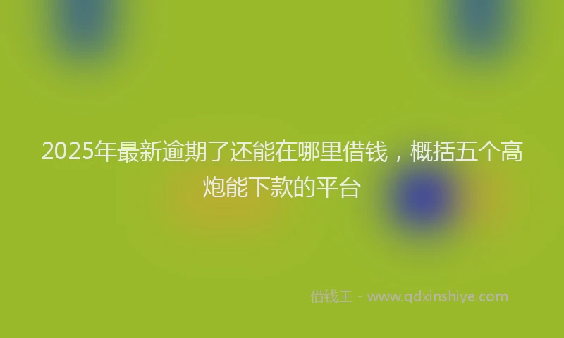 2025年最新逾期了还能在哪里借钱，概括五个高炮能下款的平台