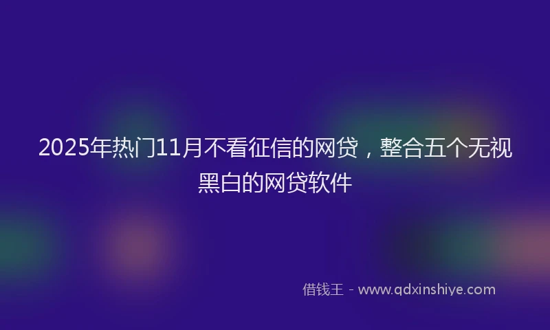 2025年热门11月不看征信的网贷，整合五个无视黑白的网贷软件