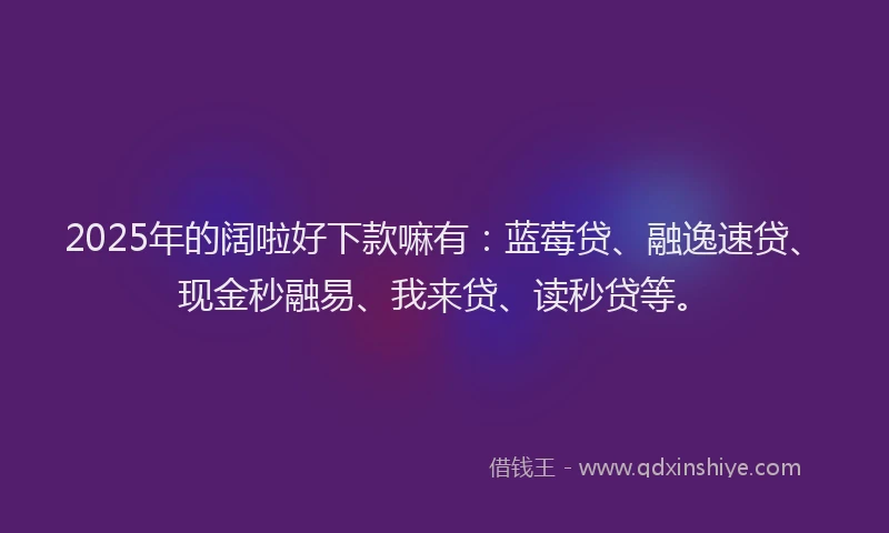 2025年的阔啦好下款嘛有：蓝莓贷、融逸速贷、现金秒融易、我来贷、读秒贷等。
