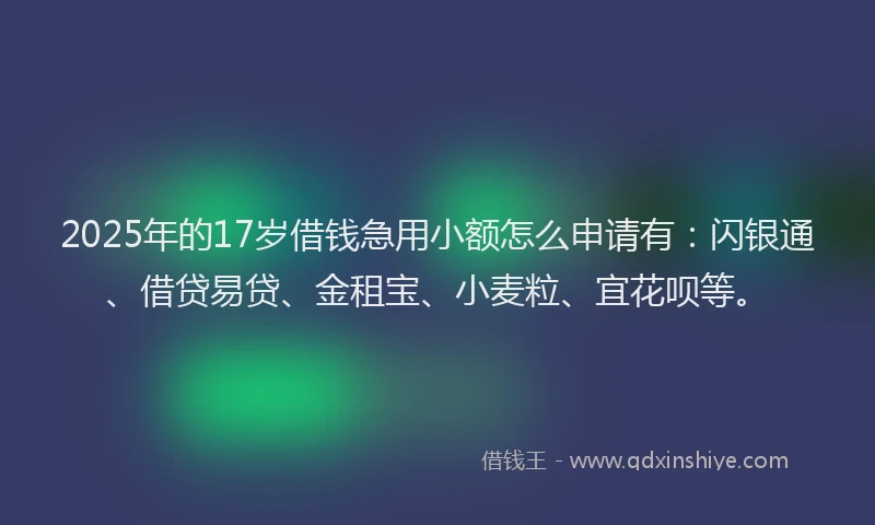 2025年的17岁借钱急用小额怎么申请有：闪银通、借贷易贷、金租宝、小麦粒、宜花呗等。