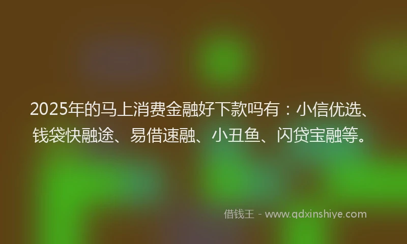 2025年的马上消费金融好下款吗有:小信优选、钱袋快融途、易借速融、小丑鱼、闪贷宝融等。