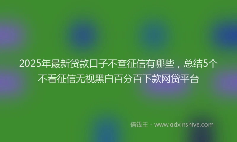 2025年最新贷款口子不查征信有哪些，总结5个不看征信无视黑白百分百下款网贷平台