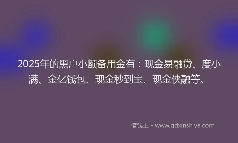 2025年的黑户小额备用金有：现金易融贷、度小满、金亿钱包、现金秒到宝、现金侠融等。