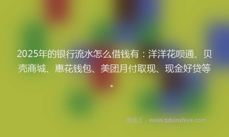 2025年的银行流水怎么借钱有：洋洋花呗通、贝壳商城、惠花钱包、美团月付取现、现金好贷等。