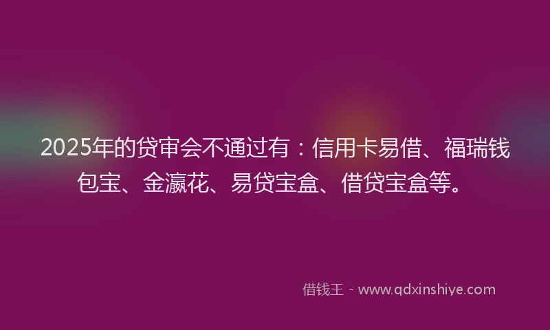 2025年的贷审会不通过有：信用卡易借、福瑞钱包宝、金瀛花、易贷宝盒、借贷宝盒等。