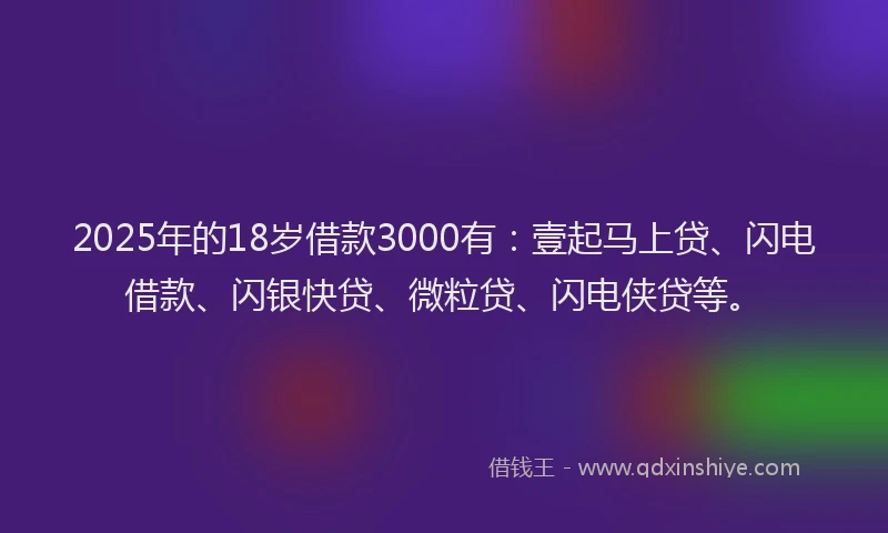 2025年的18岁借款3000有：壹起马上贷、闪电借款、闪银快贷、微粒贷、闪电侠贷等。