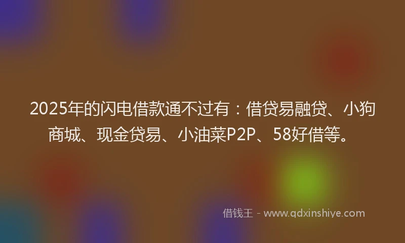 2025年的闪电借款通不过有：借贷易融贷、小狗商城、现金贷易、小油菜P2P、58好借等。