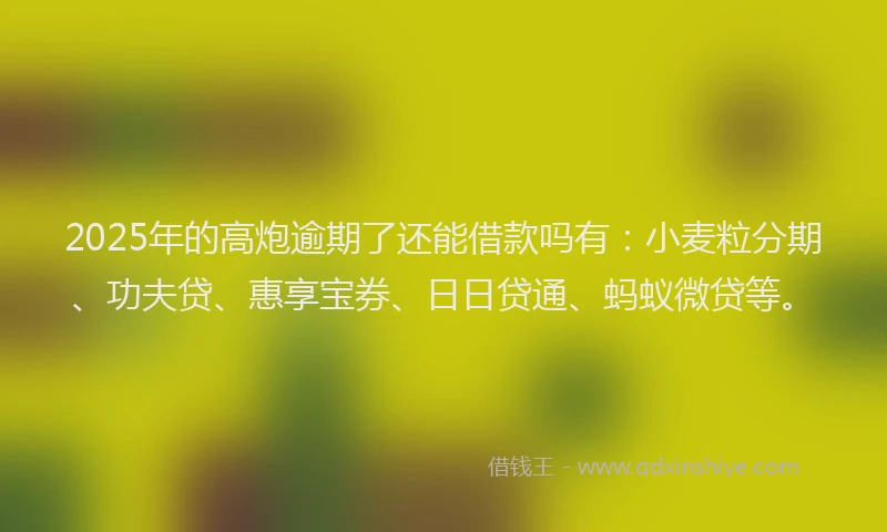 2025年的高炮逾期了还能借款吗有：小麦粒分期、功夫贷、惠享宝券、日日贷通、蚂蚁微贷等。