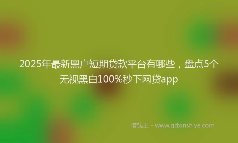 2025年最新黑户短期贷款平台有哪些，盘点5个无视黑白100%秒下网贷app