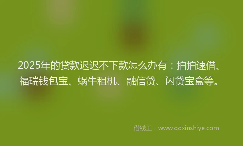 2025年的贷款迟迟不下款怎么办有：拍拍速借、福瑞钱包宝、蜗牛租机、融信贷、闪贷宝盒等。