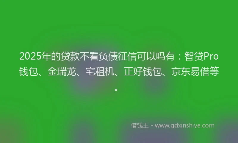 2025年的贷款不看负债征信可以吗有：智贷Pro钱包、金瑞龙、宅租机、正好钱包、京东易借等。
