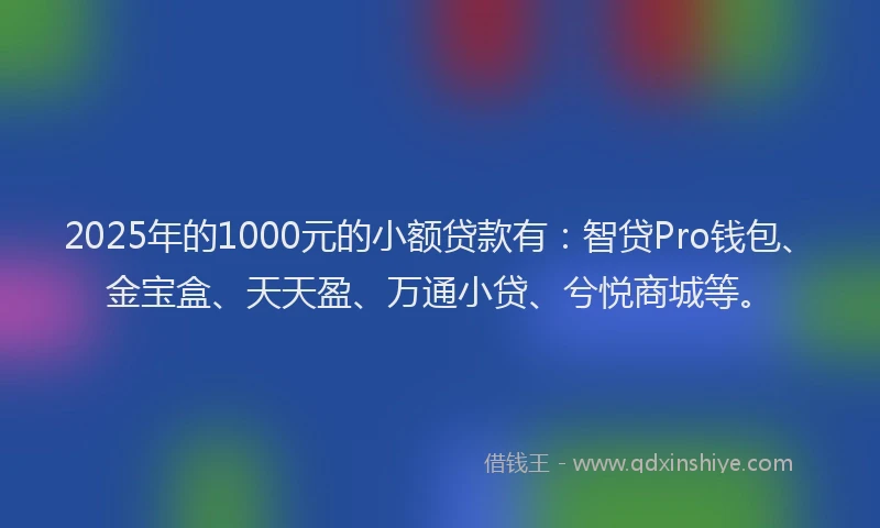 2025年的1000元的小额贷款有：智贷Pro钱包、金宝盒、天天盈、万通小贷、兮悦商城等。