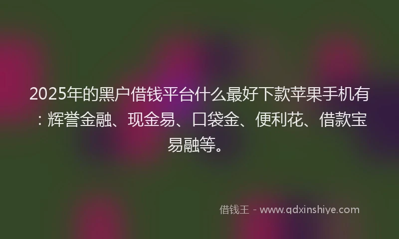 2025年的黑户借钱平台什么最好下款苹果手机有：辉誉金融、现金易、口袋金、便利花、借款宝易融等。