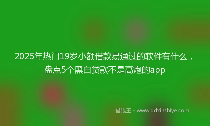 2025年热门19岁小额借款易通过的软件有什么，盘点5个黑白贷款不是高炮的app
