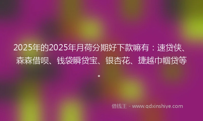 2025年的2025年月荷分期好下款嘛有：速贷侠、森森借呗、钱袋瞬贷宝、银杏花、捷越巾帼贷等。