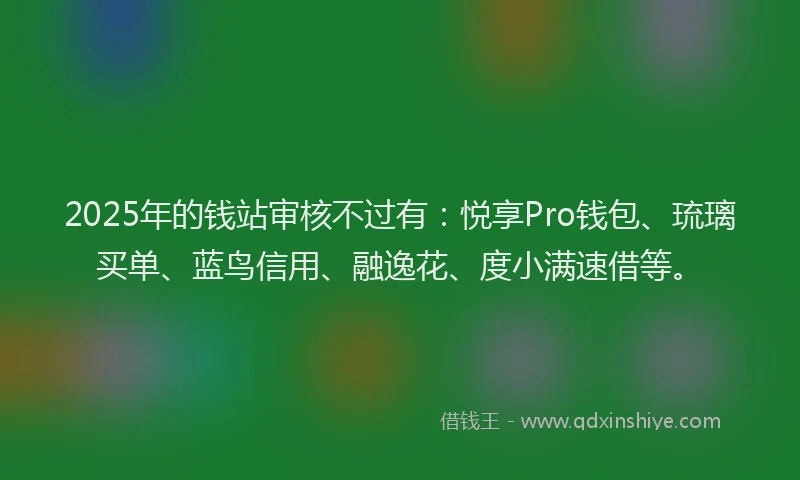 2025年的钱站审核不过有：悦享Pro钱包、琉璃买单、蓝鸟信用、融逸花、度小满速借等。