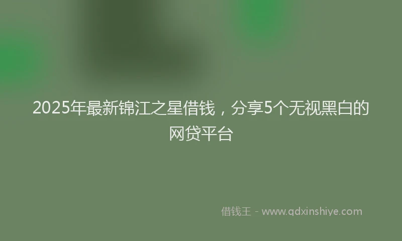 2025年最新锦江之星借钱，分享5个无视黑白的网贷平台