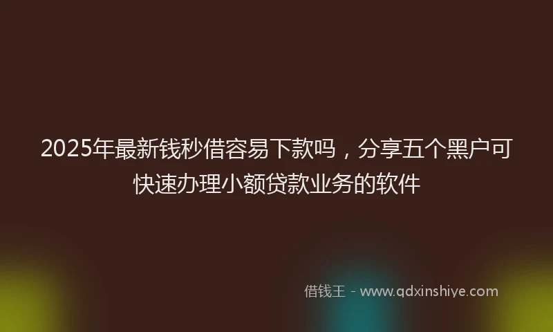 2025年最新钱秒借容易下款吗，分享五个黑户可快速办理小额贷款业务的软件