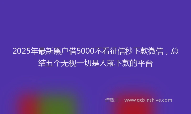 2025年最新黑户借5000不看征信秒下款微信，总结五个无视一切是人就下款的平台