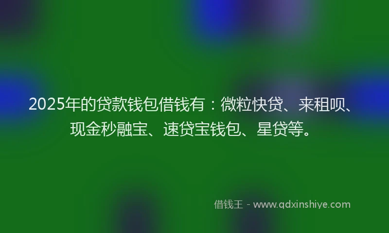 2025年的贷款钱包借钱有：微粒快贷、来租呗、现金秒融宝、速贷宝钱包、星贷等。
