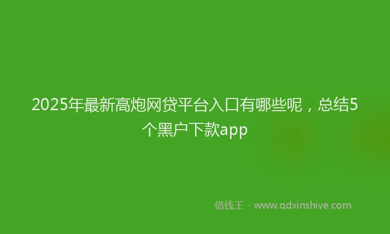 2025年最新高炮网贷平台入口有哪些呢，总结5个黑户下款app