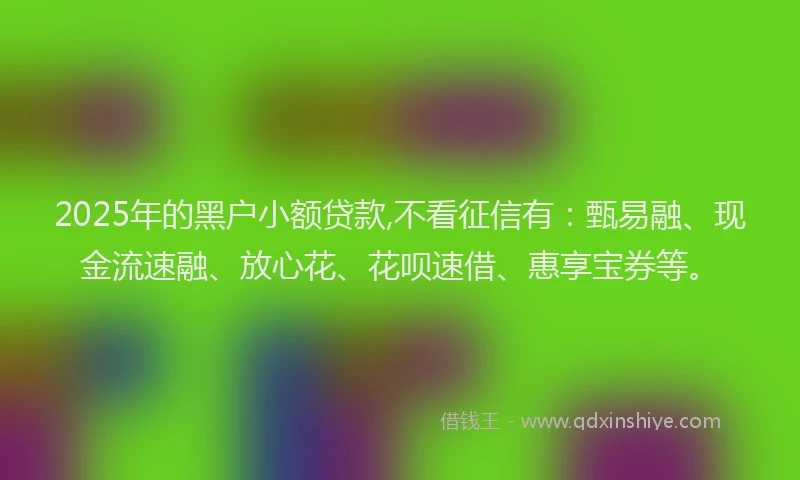 2025年的黑户小额贷款,不看征信有：甄易融、现金流速融、放心花、花呗速借、惠享宝券等。