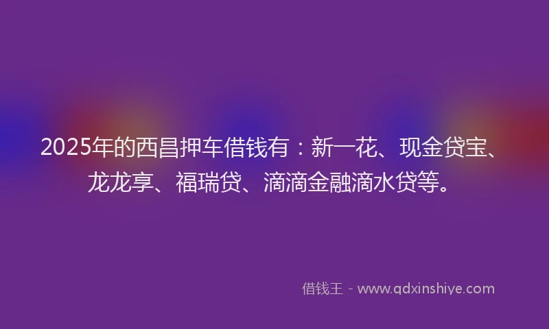 2025年的西昌押车借钱有：新一花、现金贷宝、龙龙享、福瑞贷、滴滴金融滴水贷等。