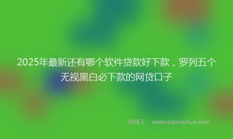 2025年最新还有哪个软件贷款好下款，罗列五个无视黑白必下款的网贷口子