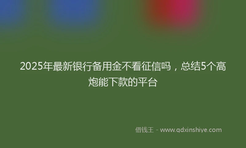 2025年最新银行备用金不看征信吗，总结5个高炮能下款的平台