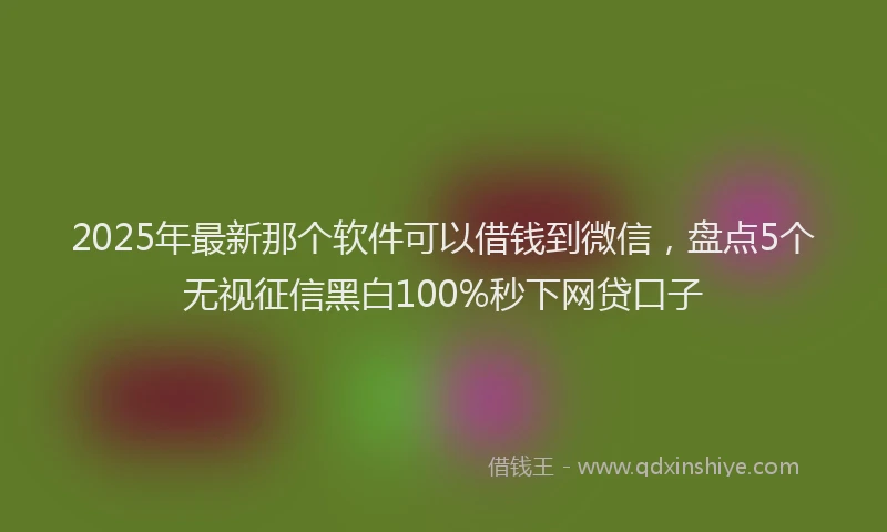 2025年最新那个软件可以借钱到微信，盘点5个无视征信黑白100%秒下网贷口子
