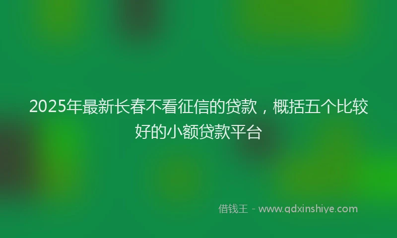2025年最新长春不看征信的贷款，概括五个比较好的小额贷款平台