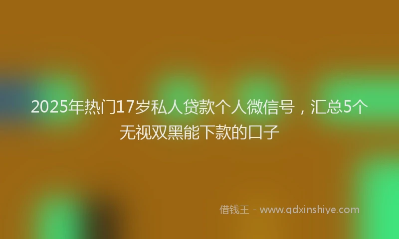 2025年热门17岁私人贷款个人微信号，汇总5个无视双黑能下款的口子